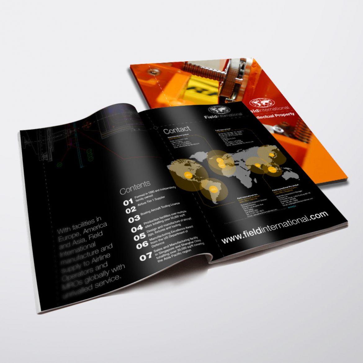 Field International Brochure Design