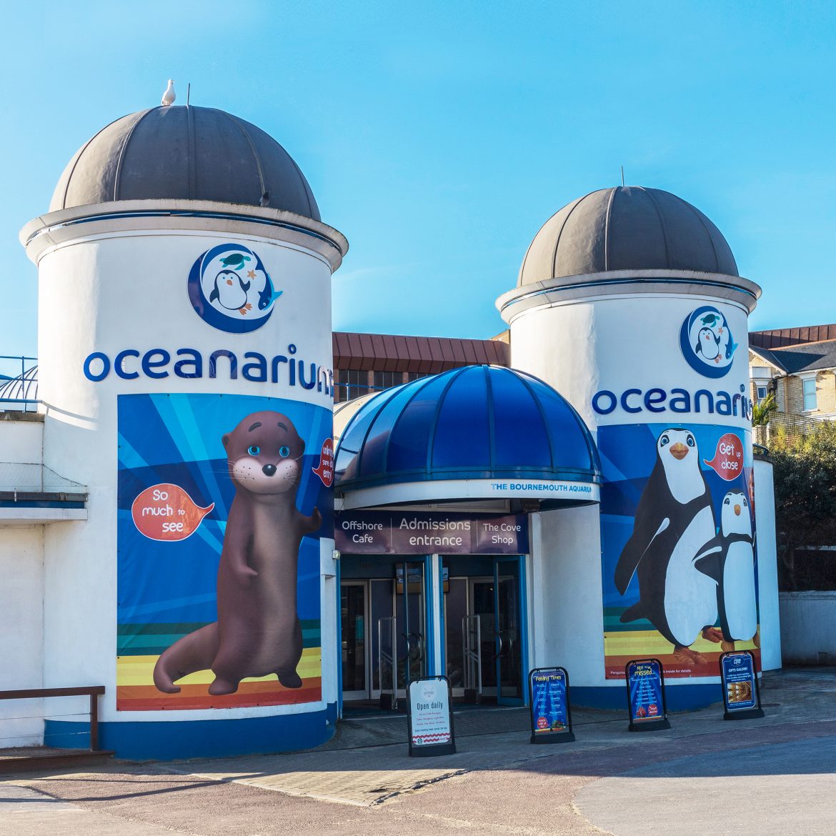 Oceanarium Branding