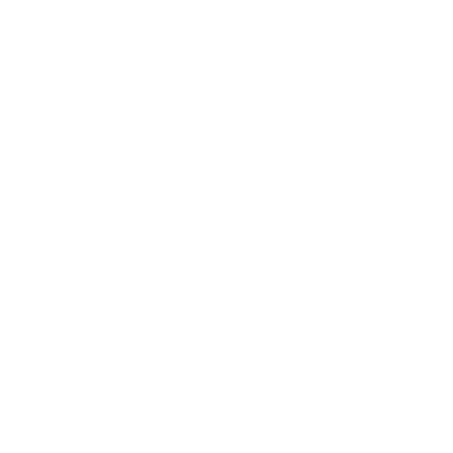 white army logo