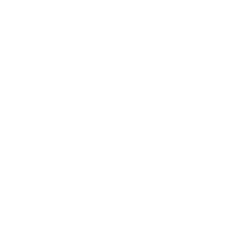 white rawlins davy logo